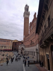 P 20191101 140341 vHDR On