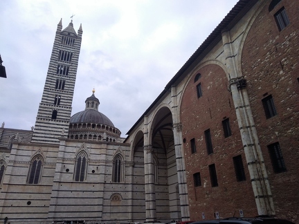 P 20191101 142920 vHDR On