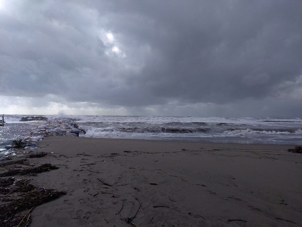 P 20191104 141944 vHDR On