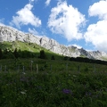 P1040346-1632x1224