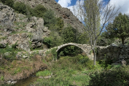 01014107 copy 2736x1824