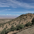 01038304 copy 2432x1824