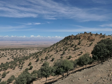 01038304 copy 2432x1824