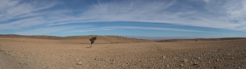 01038300 copy 3376x960