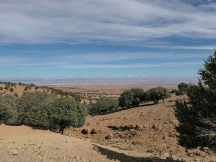 01038301 copy 2432x1824