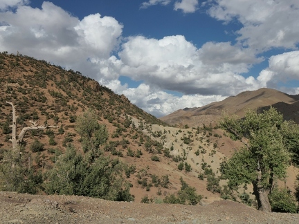 01038345 copy 2432x1824