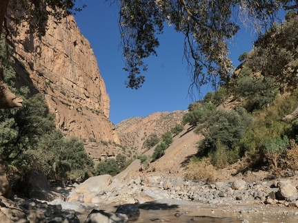 01038409 copy 2432x1824