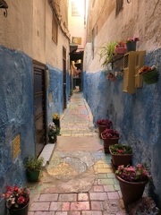 01049474 copy 1824x2432