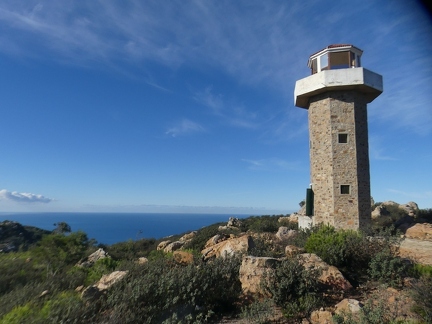 P1110716 copy 2000x1500