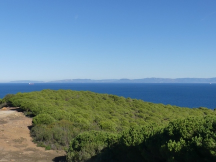 P1110729 copy 2000x1500