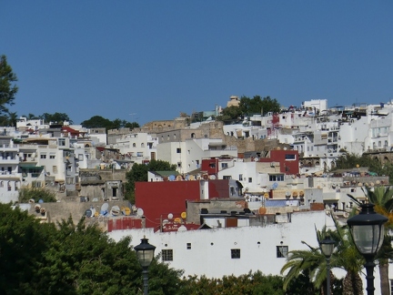 P1110696 copy 2000x1500