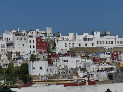 P1110703 copy 2000x1500