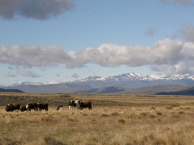 Patagonie à vélo