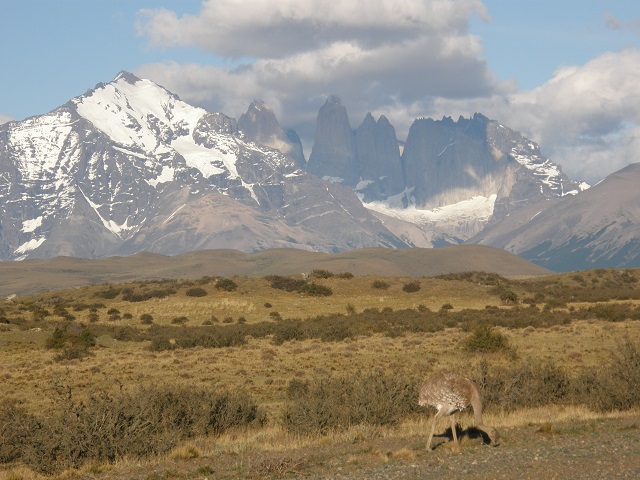 Patagonie à vélo. Argentine à vélo